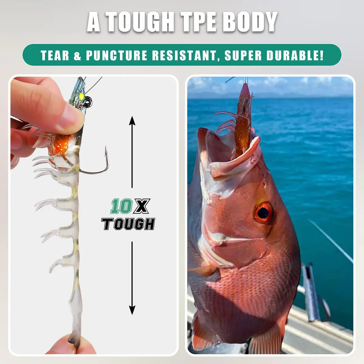 TRUSCEND Duramax Soft Fishing Lures 7.5cm (3in) | Tear-Resistant TPE Shrimp & Crayfish Baits with BKK Hooks - view 3
