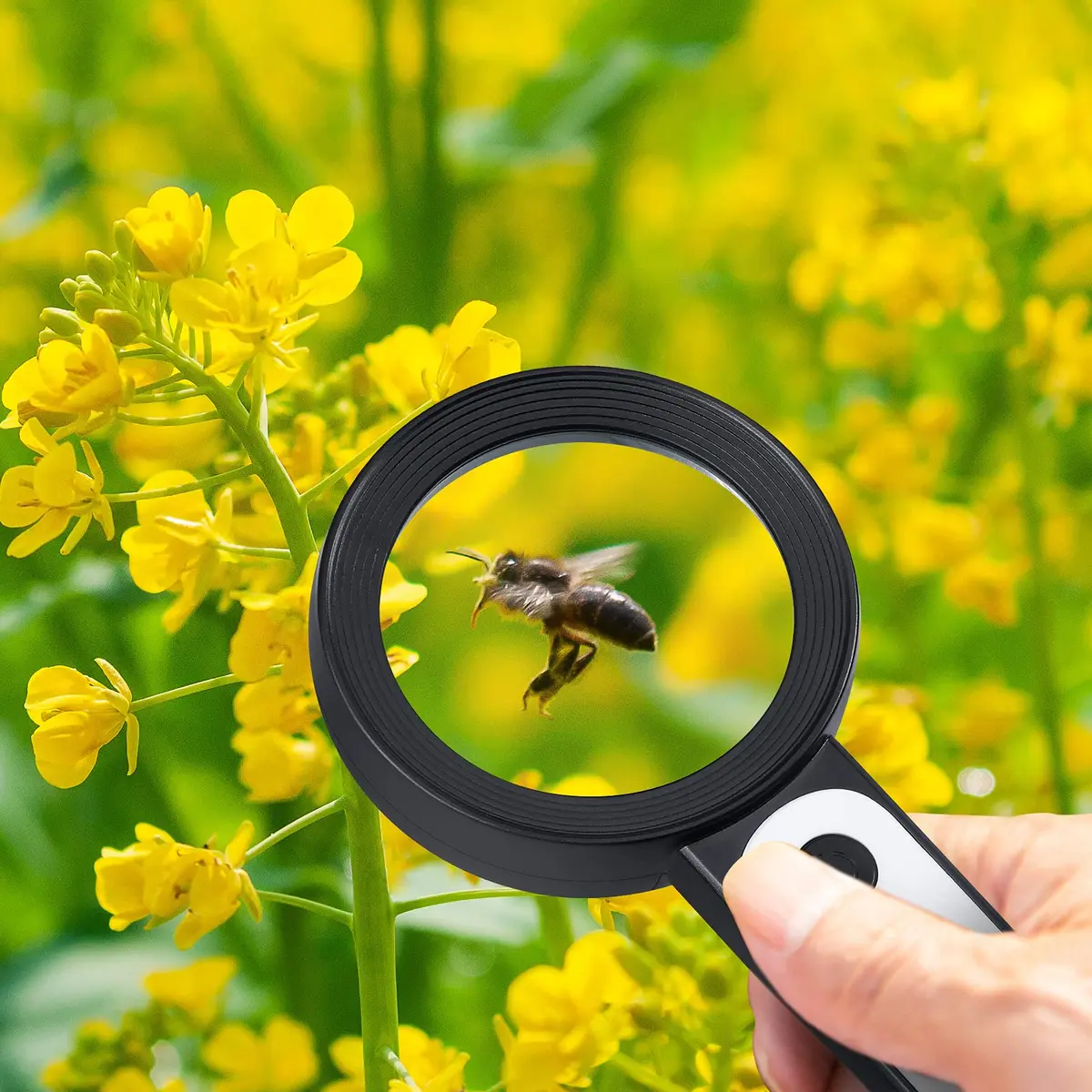 Arsir Magnifying Glass with Light for Reading | 3 Light Modes, 18 LEDs, Large 3.15 inch Lens, Seniors & Low Vision Support - view 2