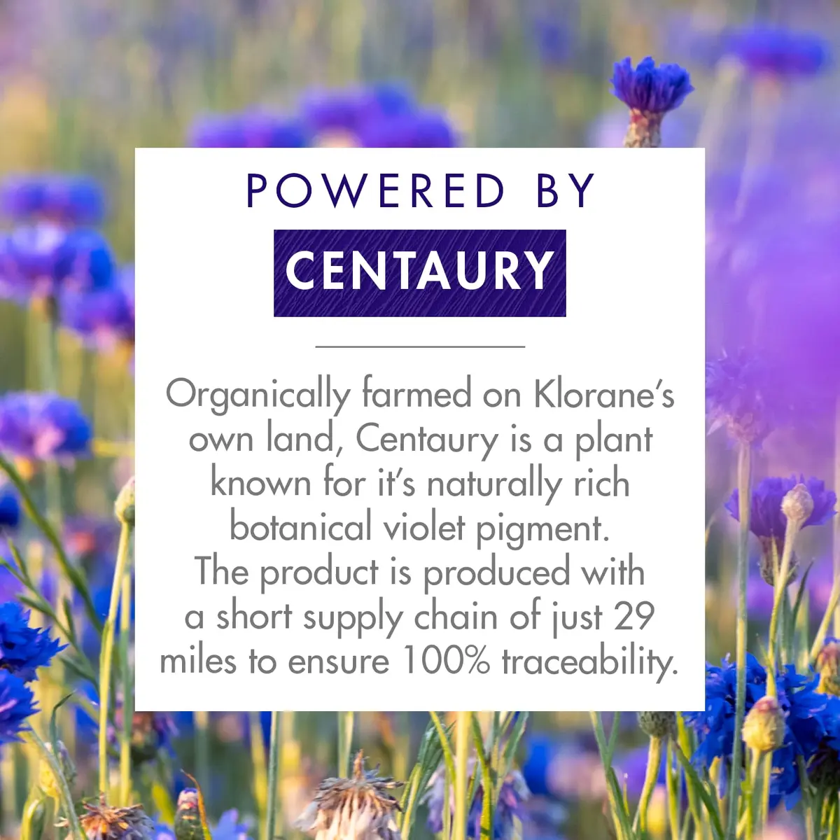 Klorane Purple Anti-Yellowing Shampoo with Centaury 13.5 Fl Oz | Neutralizes yellow tones, nourishes & enhances silver highlights - view 3