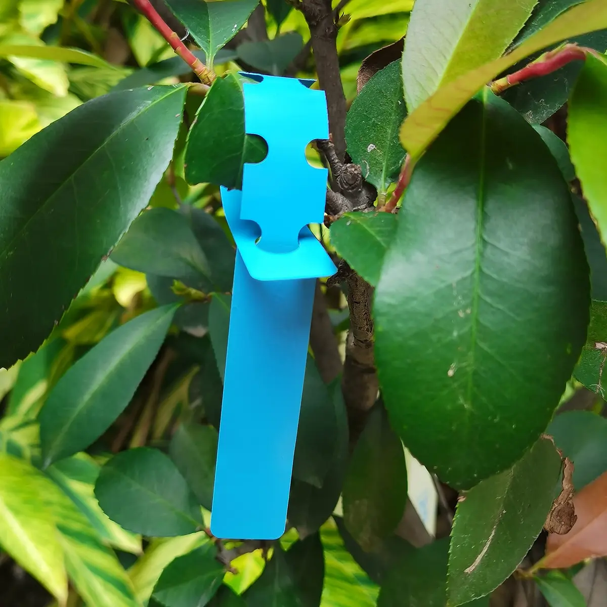 MIHEY Blue 200 Pcs Hanging Plant Tags with Marker Pen 2cm x 20cm (0.79 inch x 7.87 inch) | Durable UV-Resistant Waterproof Labels - view 6