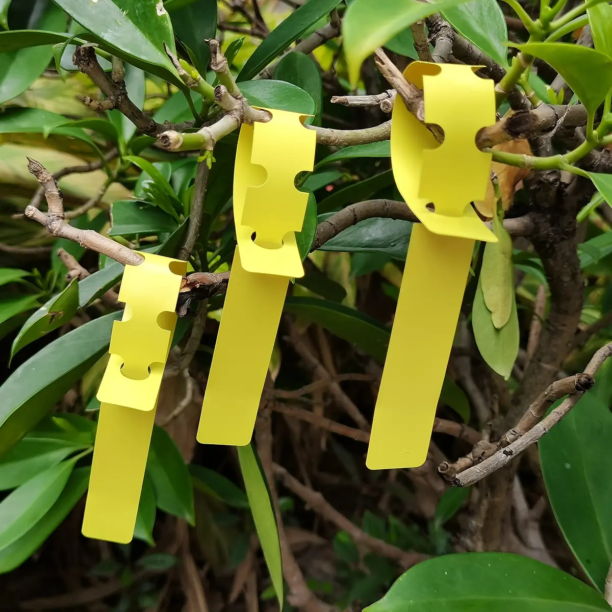 MIHEY Yellow Plastic Plant Tags with Marker Pen, 20cm (7.87 inch) - 200 Pcs | Durable & Waterproof Garden Markers - view 6
