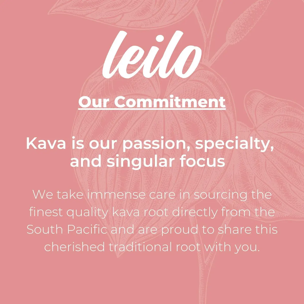 LEILO Kava Powered Sparkling Relaxation Drink | Raspberry Hibiscus | 12 fl oz Can (Pack of 12) for Calm & Social Ease - view 5