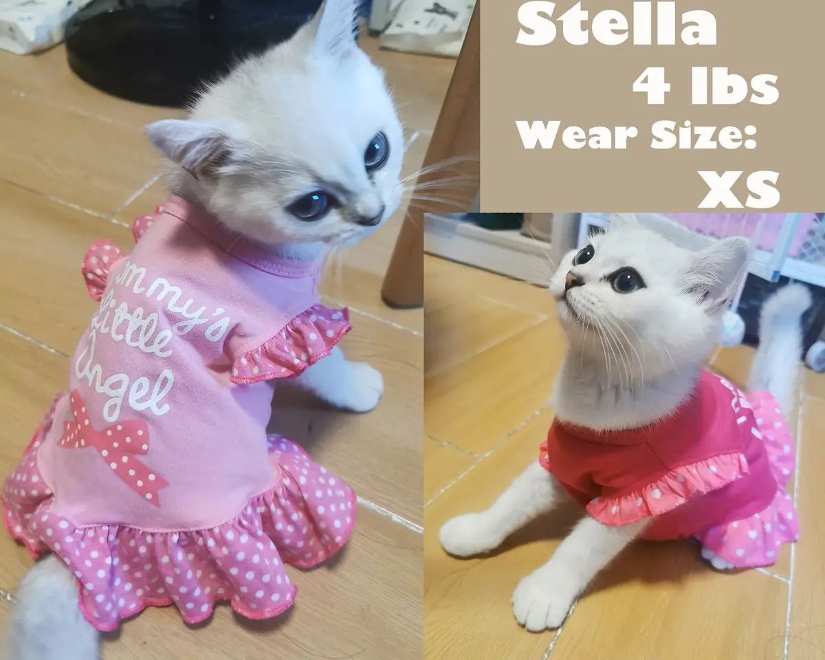 XPUDAC Small Dog Dress 4 Pack | Cute Pink Angel Pet Apparel for Small Dogs & Cats - view 5