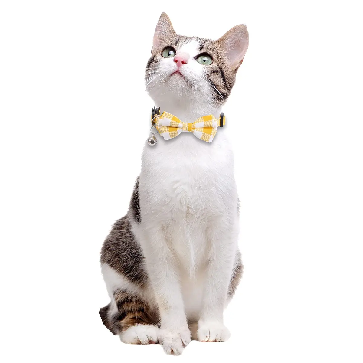 Lamphyface Cat Collar 8-11" | Adjustable Breakaway Safety with Bow & Bell (100-120 chars) - view 5