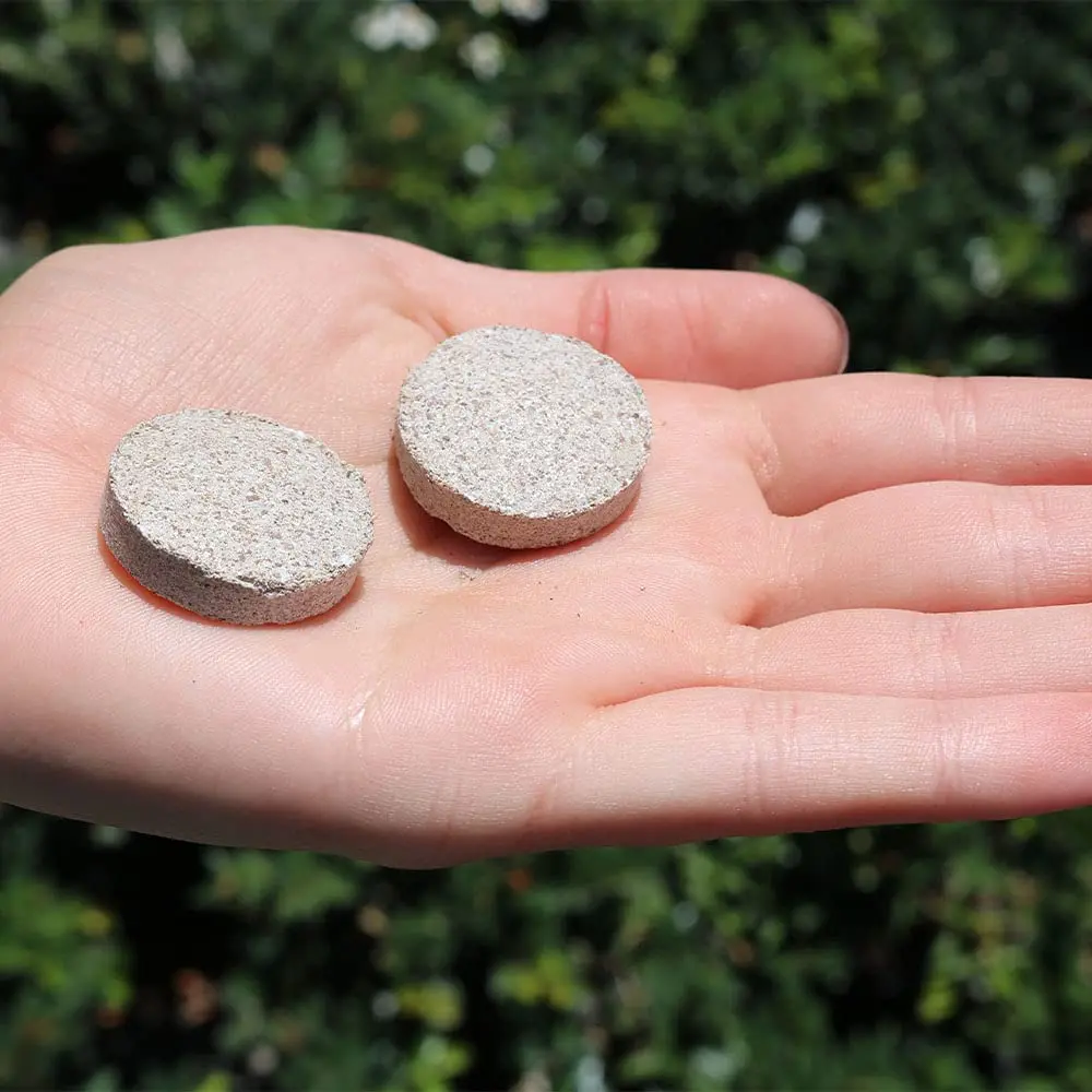 American Plant Exchange Indoor Plant Food Tabs – 2-Pack Organic Fertilizer | Slow Release for Houseplants - view 3