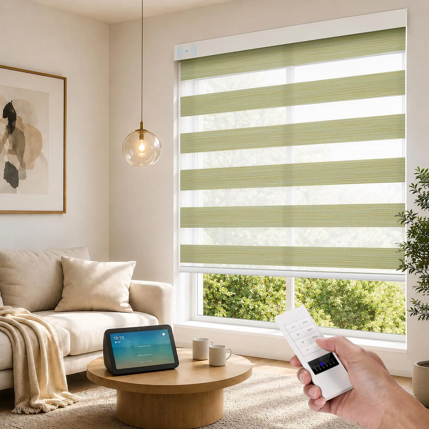 Blinds & Shades