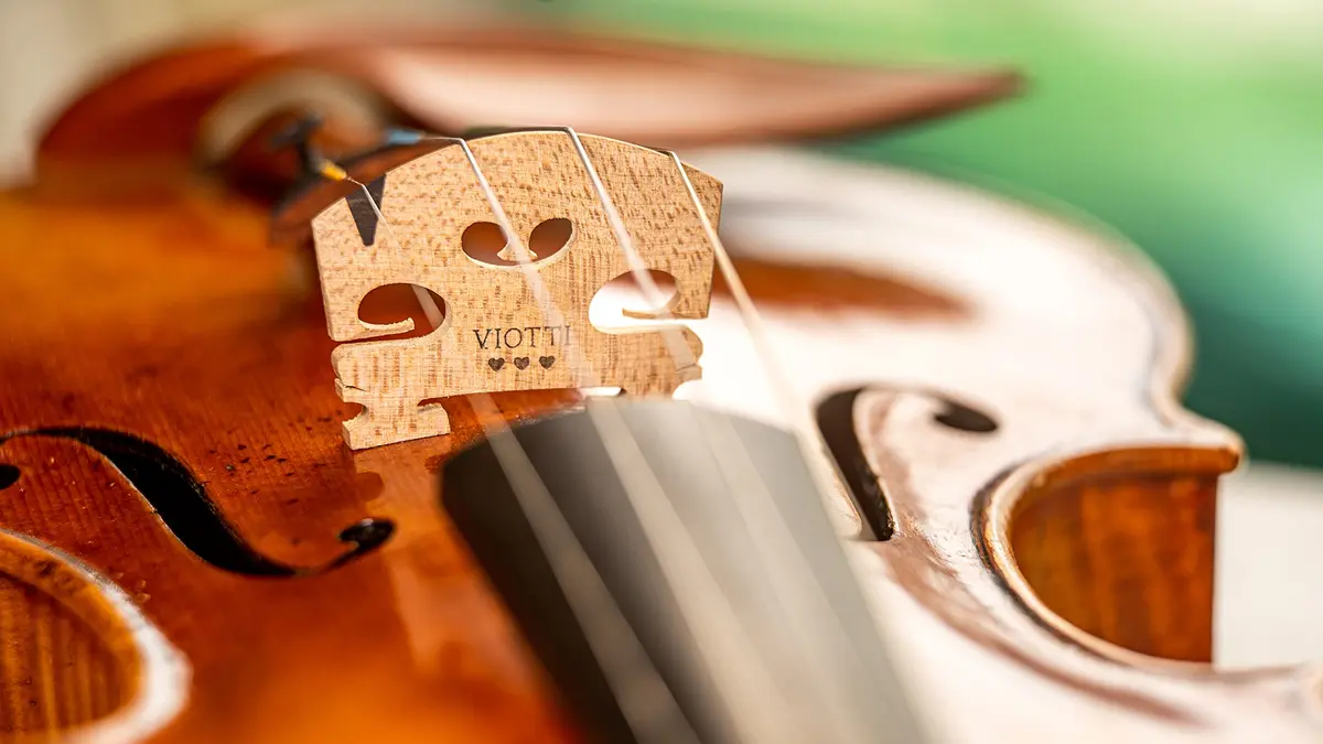Viotti Finer Grade Maple Violin Bridge 4/4 | Pre-Cut & Pre-Fitted for Most Violins - view 5