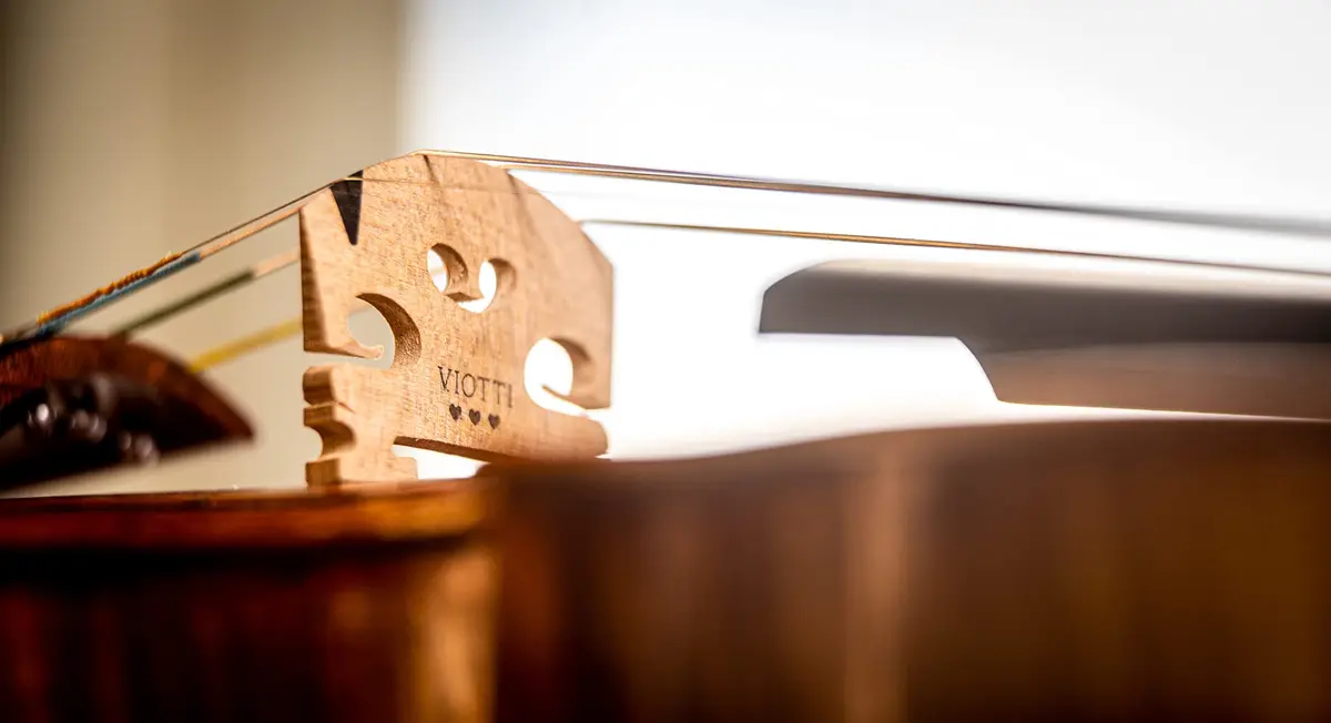 Viotti Finer Grade Maple Violin Bridge 4/4 | Pre-Cut & Pre-Fitted for Most Violins - view 6