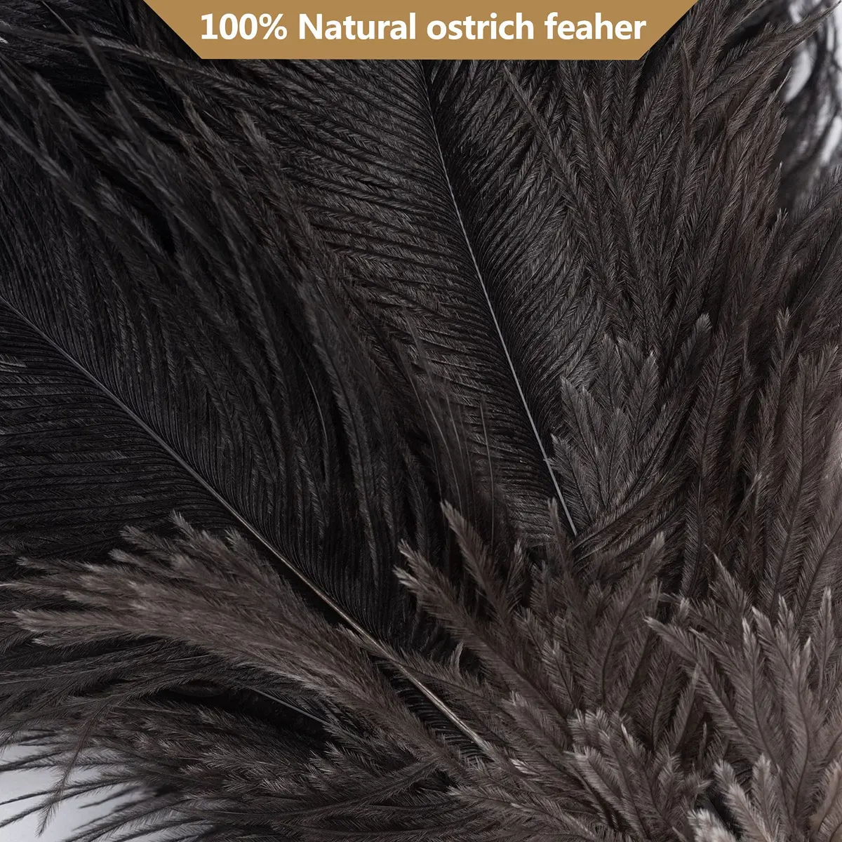 Aldwin Ostrich Feather Dusters for Cleaning, 16 inch Black | Premium Handcrafted Feather Duster with Wooden Handle - view 3