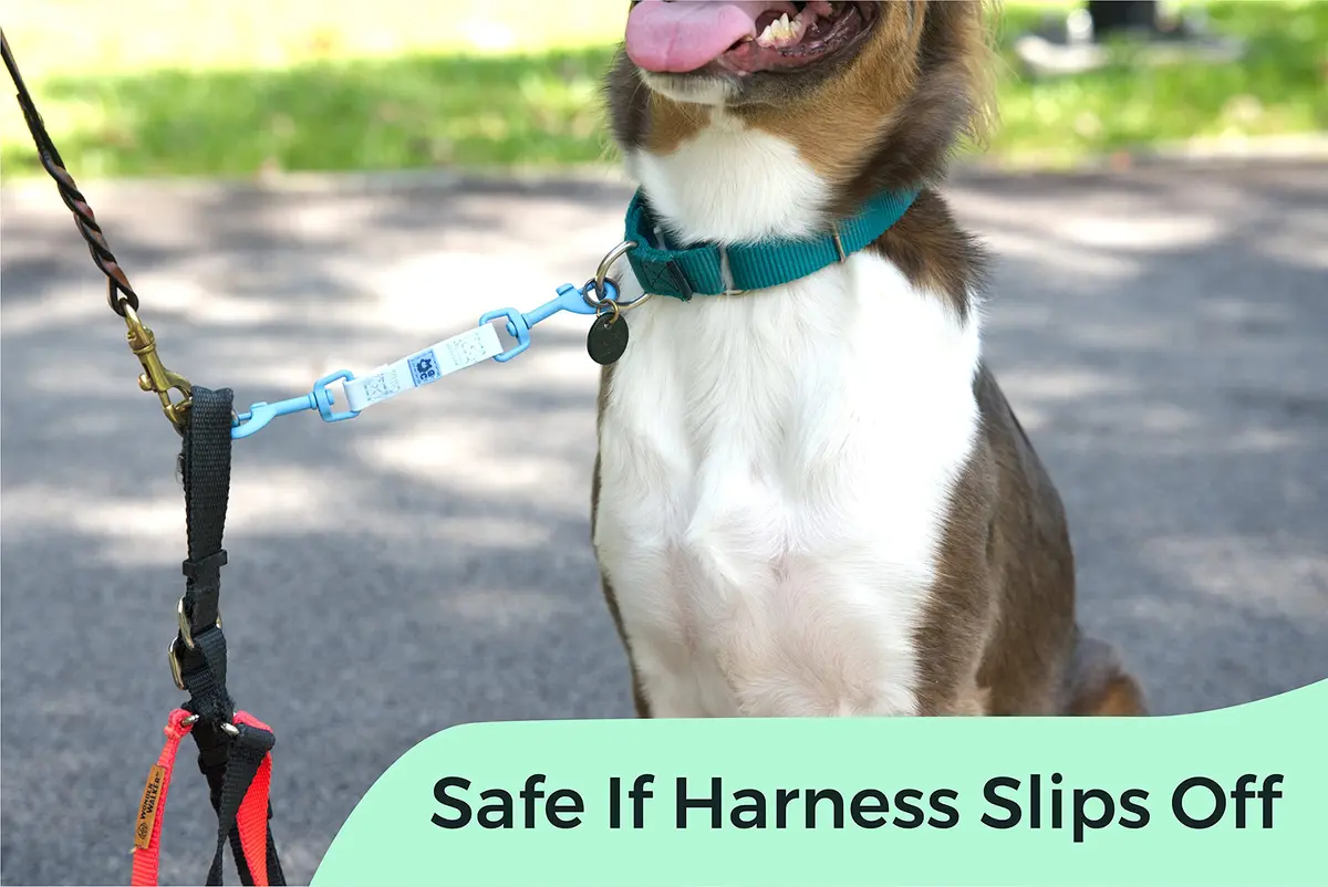 Gentle Creatures Collar Companion Waterproof Dog Safety Backup Clip 18cm (7") | Secure Anti-Escape Backup Clip - view 5