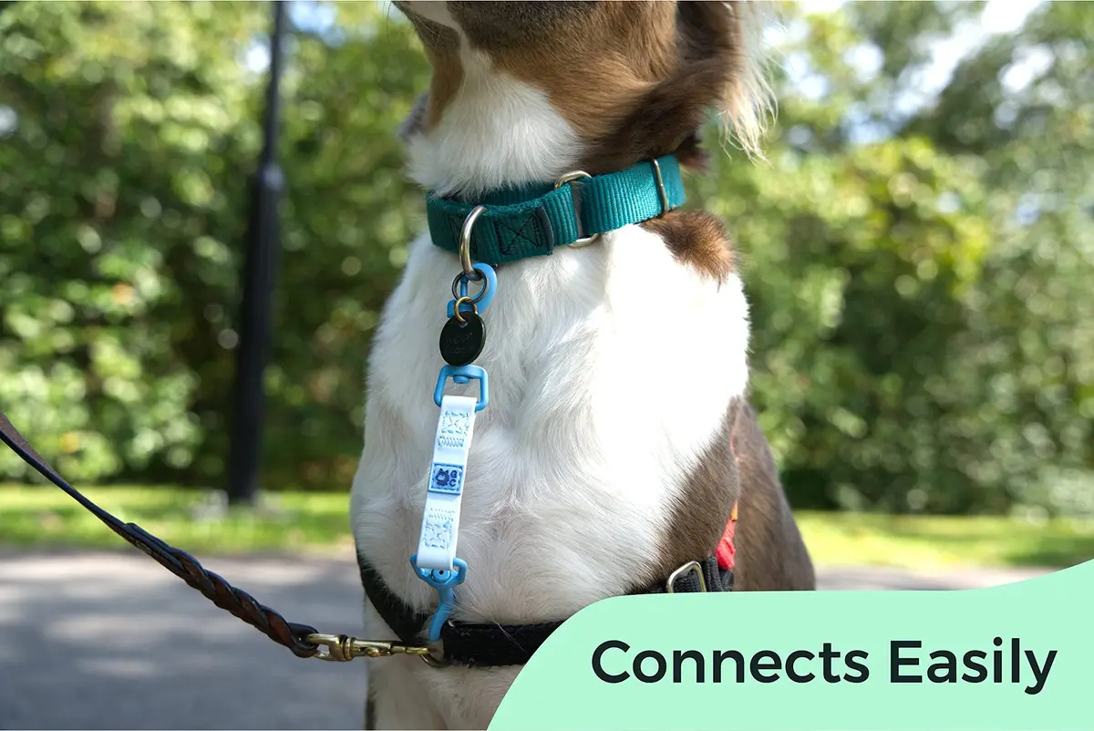 Gentle Creatures Collar Companion Waterproof Dog Safety Backup Clip 18cm (7") | Secure Anti-Escape Backup Clip - view 4