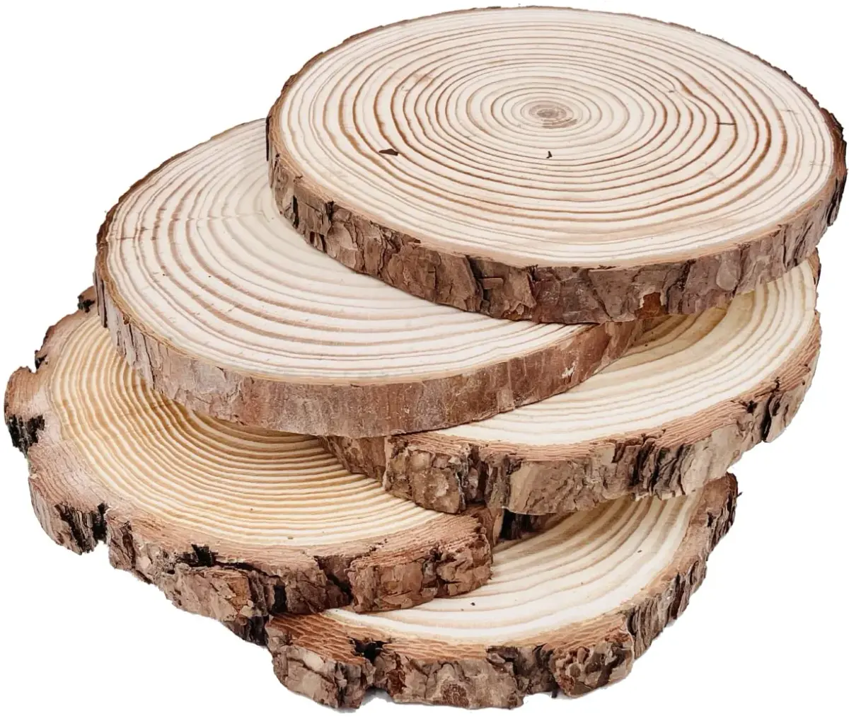 William Craft Natural Round Wood Slices 5 Pcs 7-8 Inch (18-20cm) | Rustic Unfinished Wood Circles for DIY Crafts - view 2