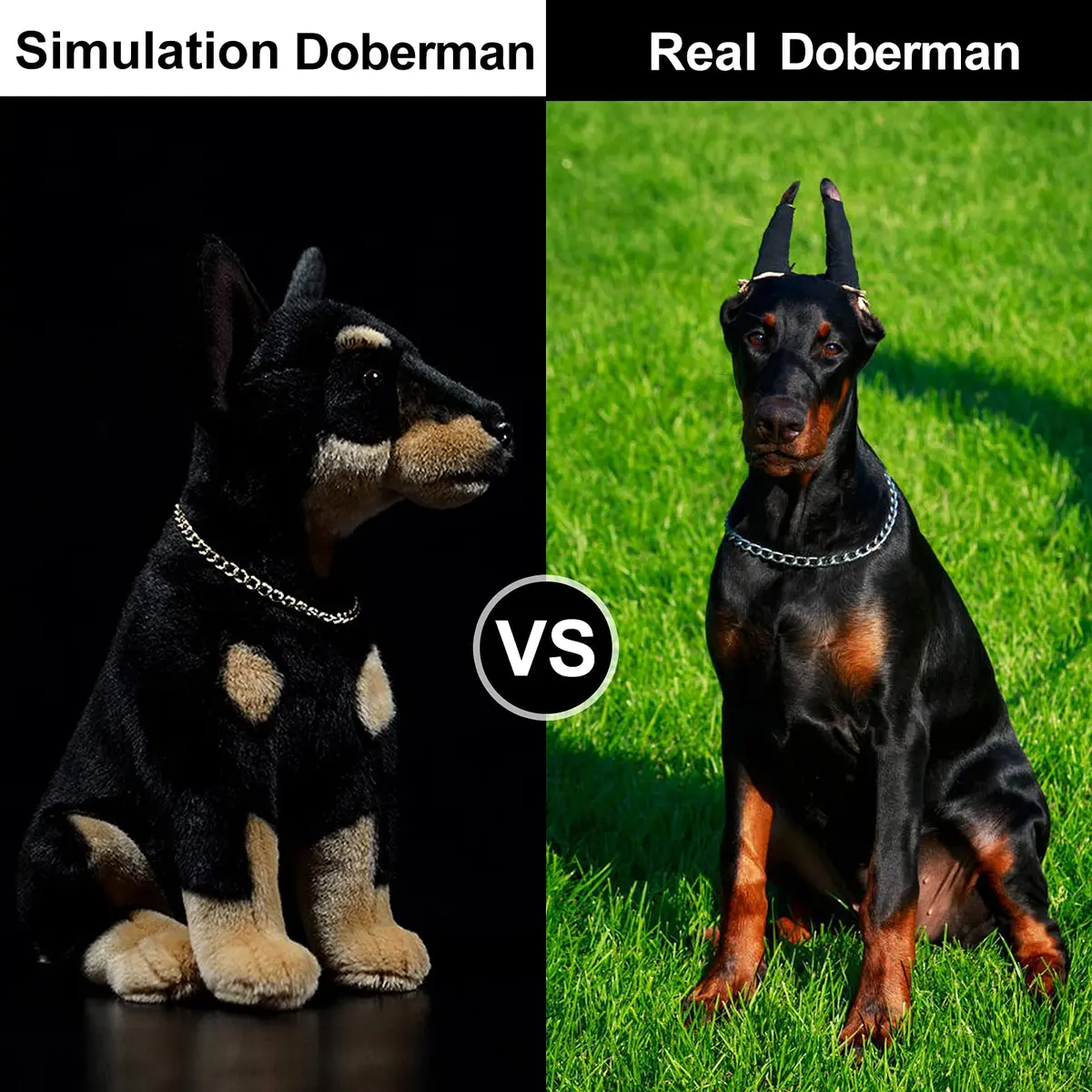 ZHONGXIN MADE Simulation Doberman Plush Toy 30cm (12 inch) | Safe & Durable for Kids - view 2