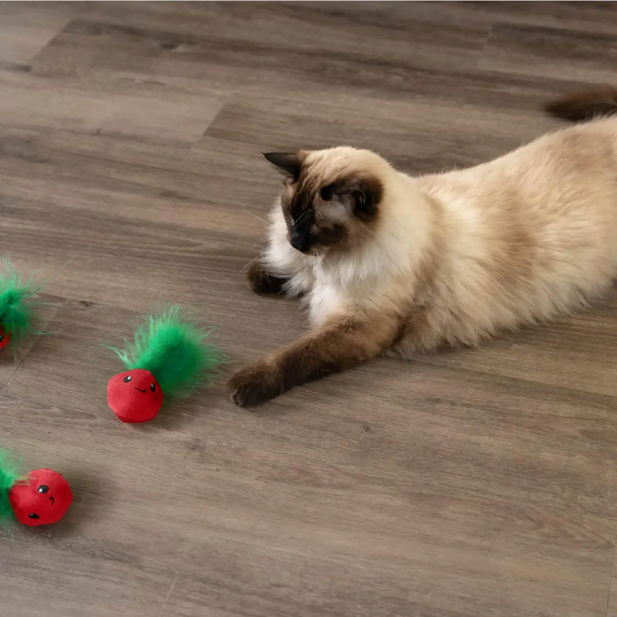 Catstages Strawbabies Dental Cat Chew Toy 3-Pack | Catnip & Feathers for Play & Dental Health - view 8