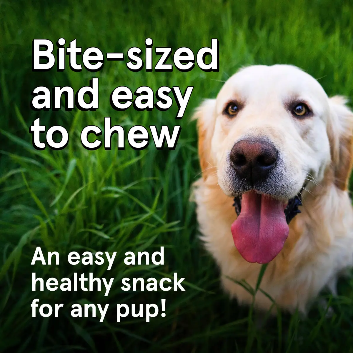 TRMC Real Meat Dog Treats 12oz | Grain-Free, High-Protein Venison & Chicken Jerky for Dogs - view 3