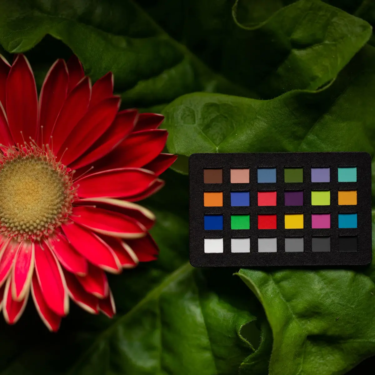 Calibrite ColorChecker Classic Nano Ultra Compact Color Reference Target 24 x 40mm (1 x 1.6 inch) | Macro Photography Color Accuracy - view 4