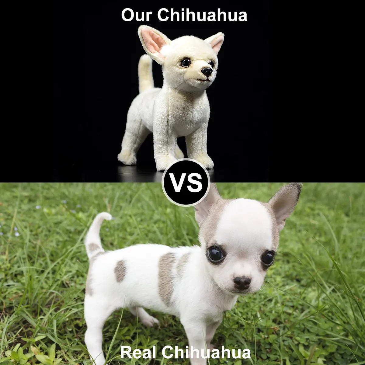 ZHONGXIN MADE 10-inch Simulation Chihuahua Dog Plush Toy - Soft, Non-Toxic, Cute Gift - view 5