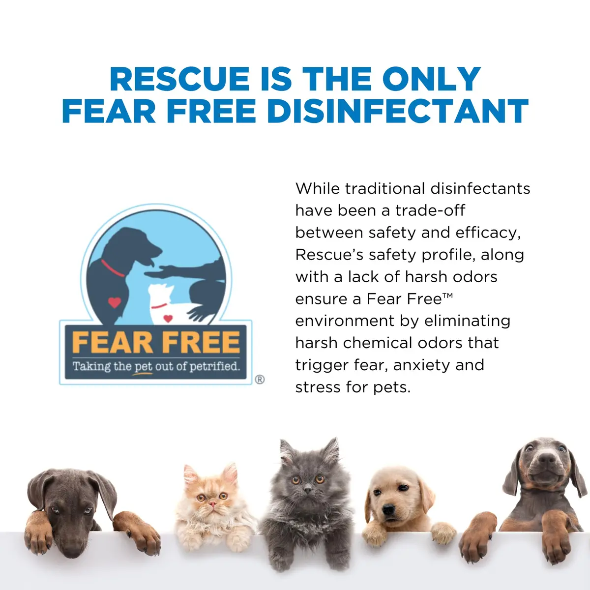 REScue Disinfectant Wipes 12 Pack | Fast-Acting, Safe for Pets & Humans, Eco-Friendly - view 7
