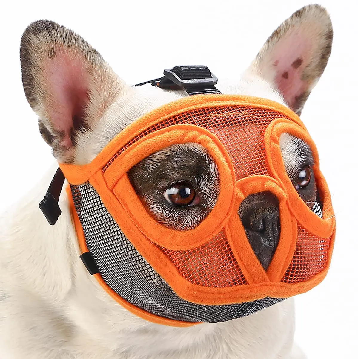 BARKLESS Short Snout Muzzle for French Bulldog, Shih Tzu | Breathable Mesh & Adjustable Strap - main product image