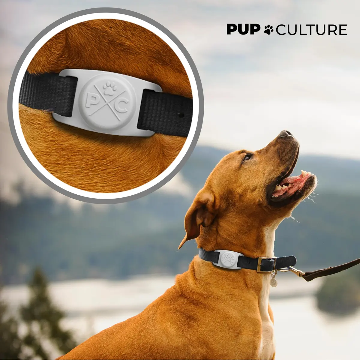 Pup Culture AirTag Dog Collar Holder Grey | Durable Silicone Case for 1-Inch Collars | Securely Tracks Pups - view 2