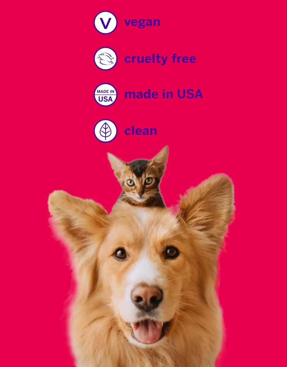 Petsmile VOHC Accepted Toothpaste, Rotisserie Chicken 4.2 Oz (119 g) | Clinically Proven Pet Dental Care - view 5