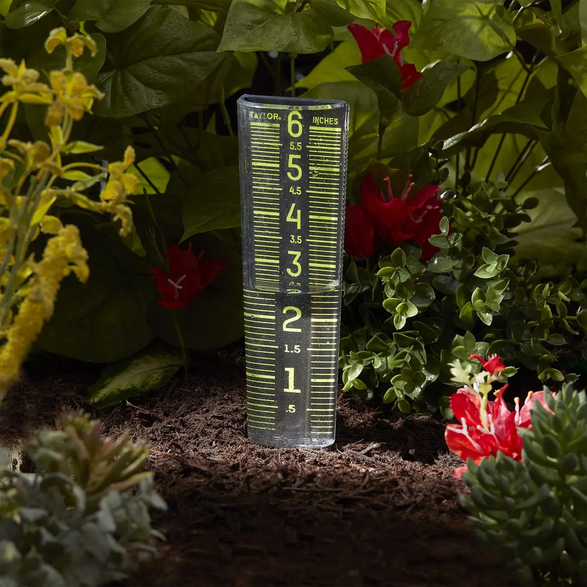 Taylor Glow-In-The-Dark Mountable Rain Gauge, 15.6 cm (6 inch) Capacity | Measure Precipitation Accurately - view 6