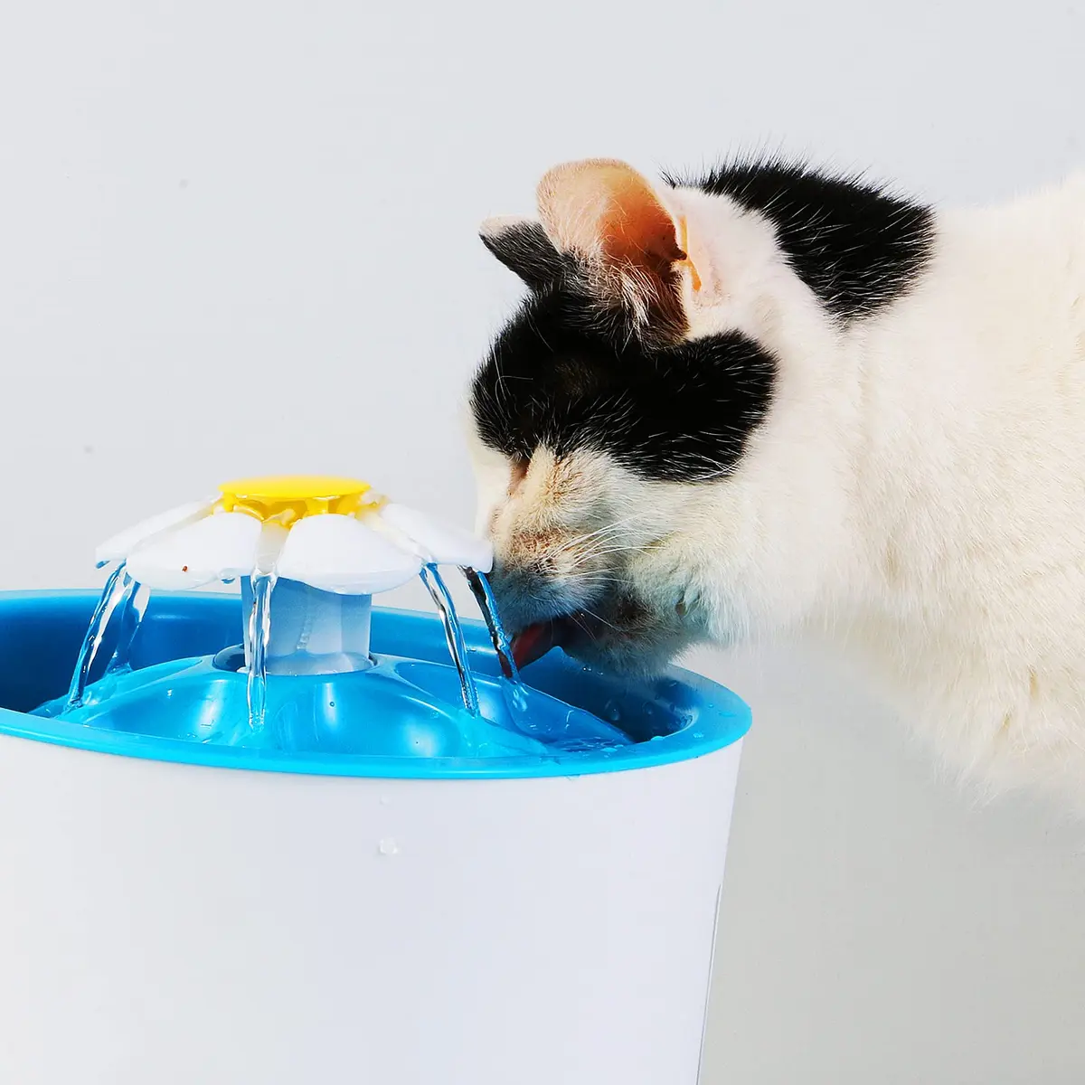 Outus Sponge Filters for Cat Dog Water Fountain Replacement, 16 Pieces | Efficient Impurity Filtration for Pet Water - view 6