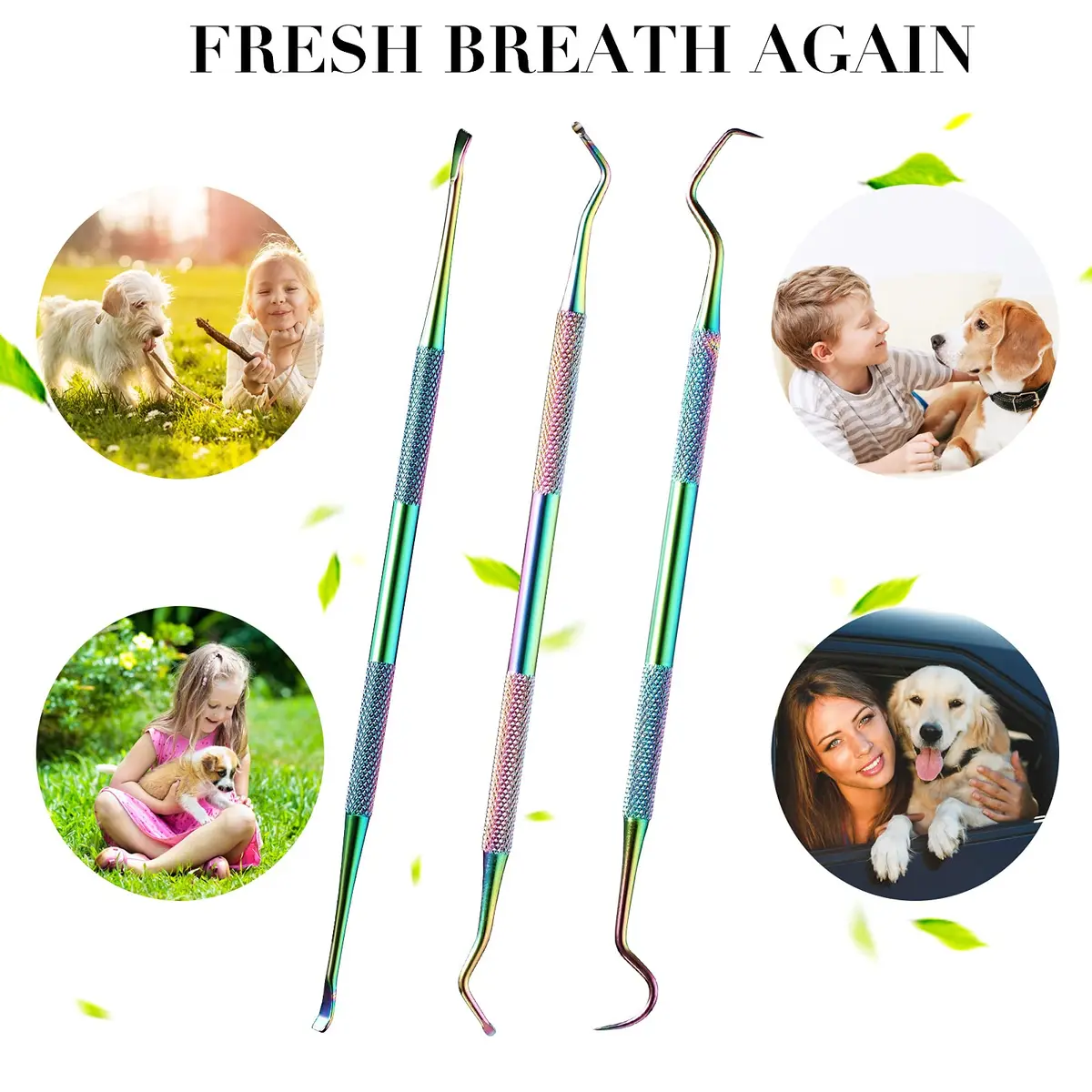 Hotop Dog Tooth Scaler Scraper Dental Tool Stainless Steel Rainbow Color | Pet Dental Care - view 3