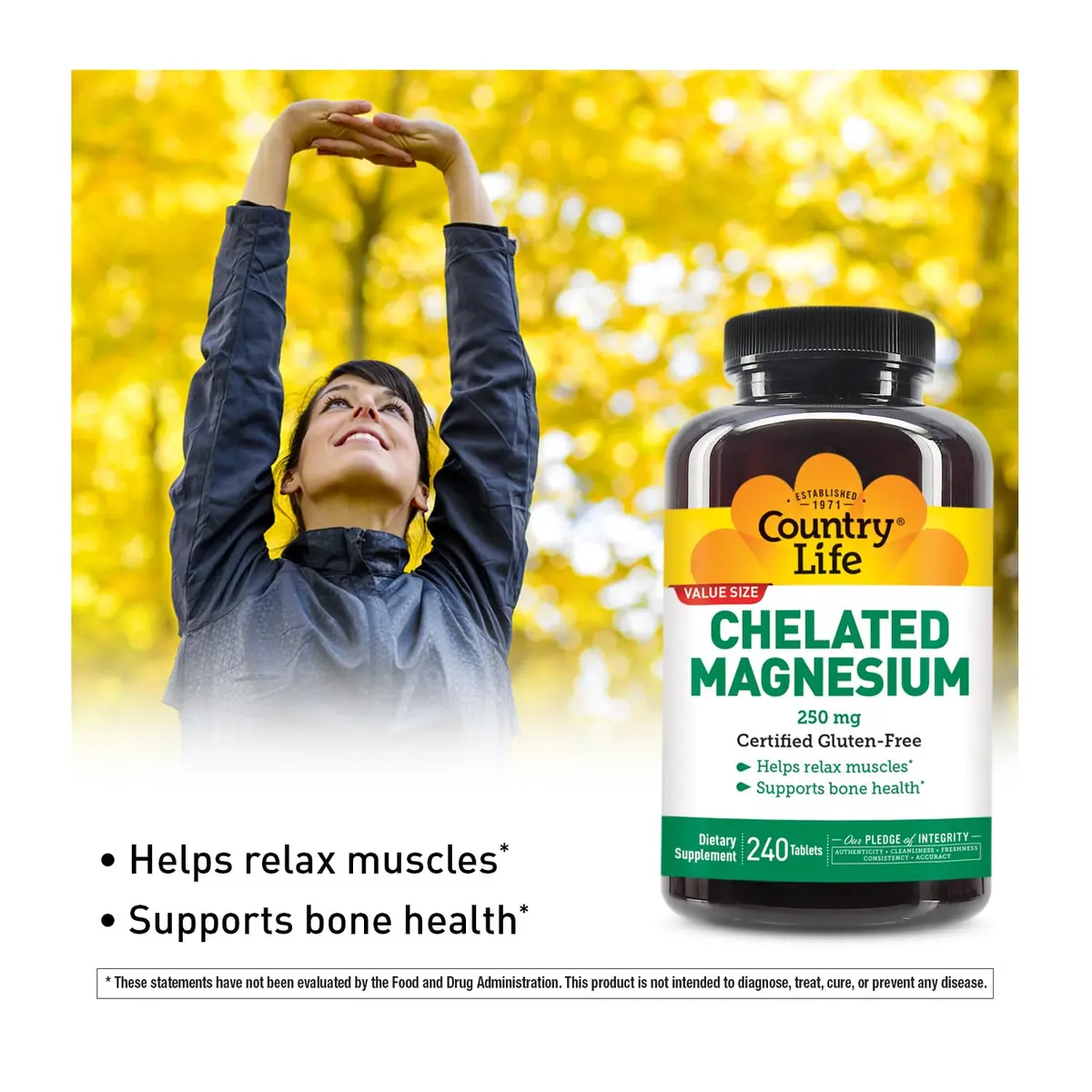 Country Life Chelated Magnesium 250 mg Tablets (240 Count, 240-Day Supply) | Supports Bone & Muscle Health - view 2
