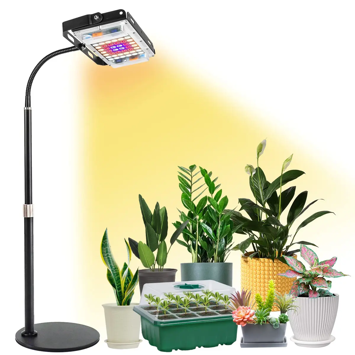 LBW Grow Light for Indoor Plants, Full Spectrum Desk LED Plant Light | Adjustable, Energy Efficient, 30W - main product image