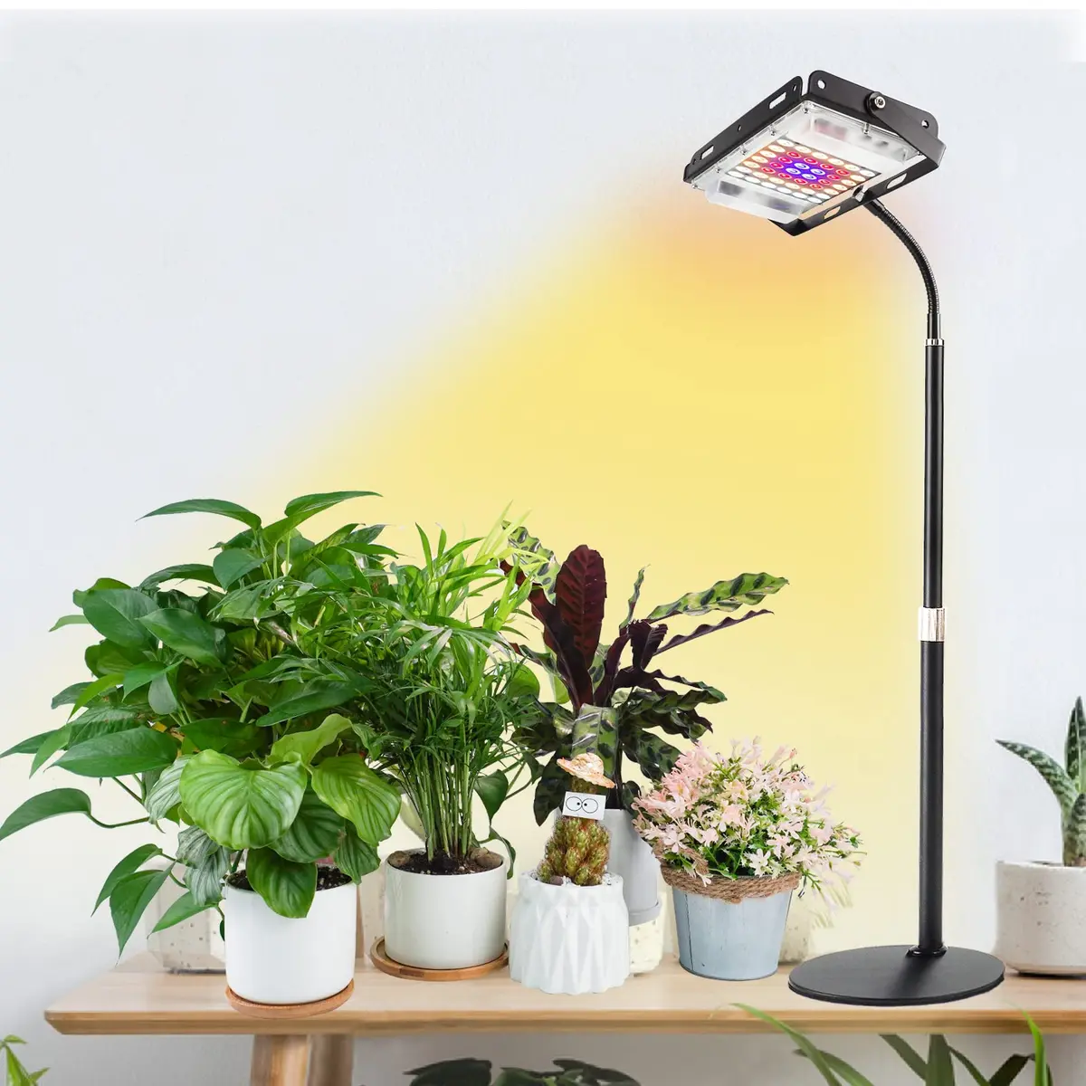 LBW Grow Light for Indoor Plants, Full Spectrum Desk LED Plant Light | Adjustable, Energy Efficient, 30W - view 6