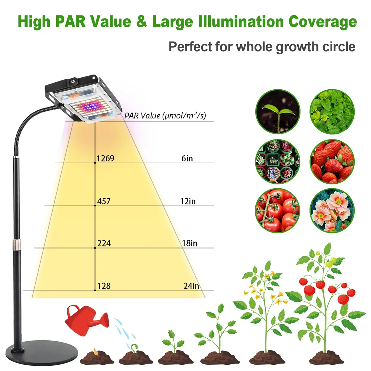 LBW Grow Light for Indoor Plants, Full Spectrum Desk LED Plant Light | Adjustable, Energy Efficient, 30W - view 7