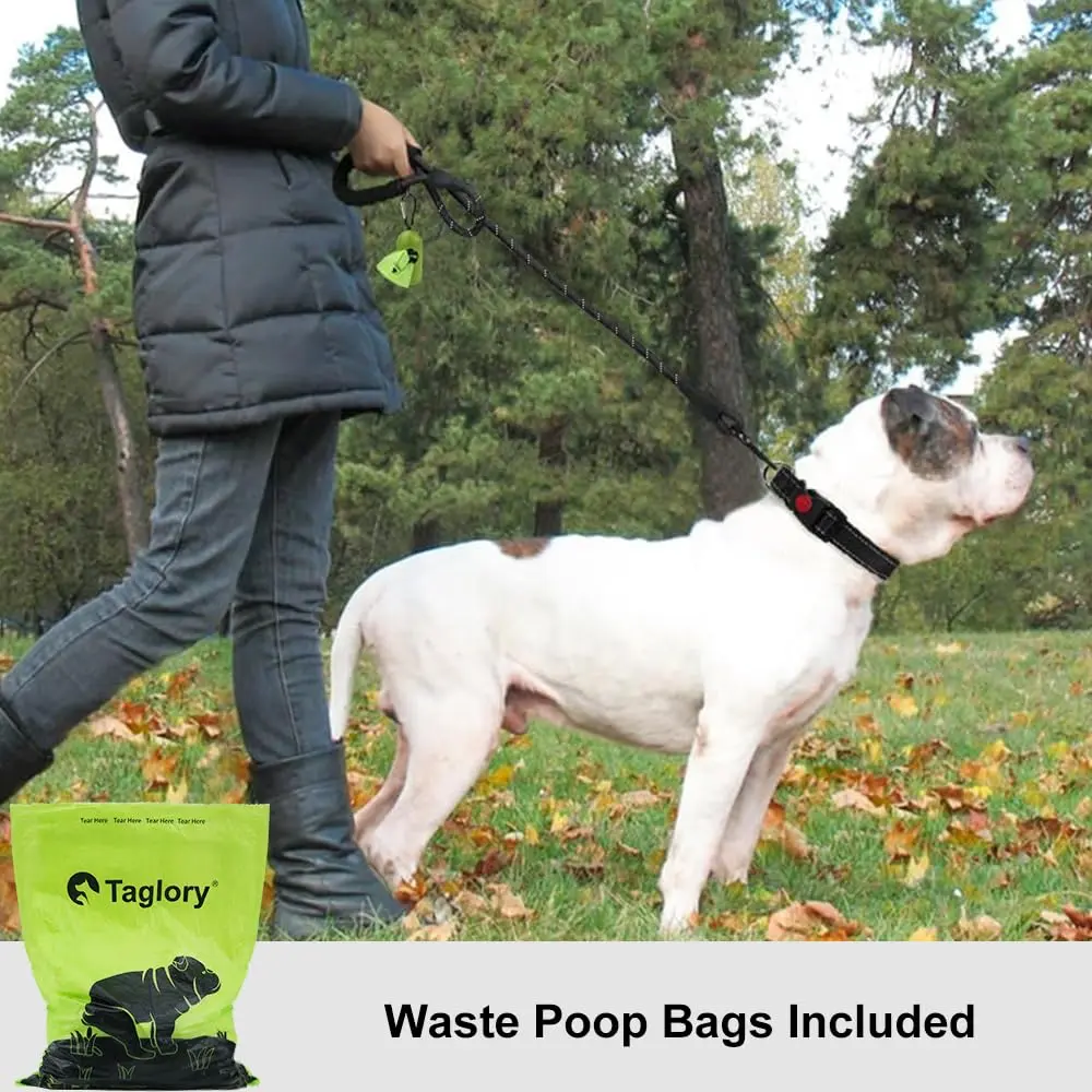 Taglory 6 FT (1.83 m) Padded Handle Rope Dog Leash | Heavy Duty Climbing Rope for Large Dogs - view 2