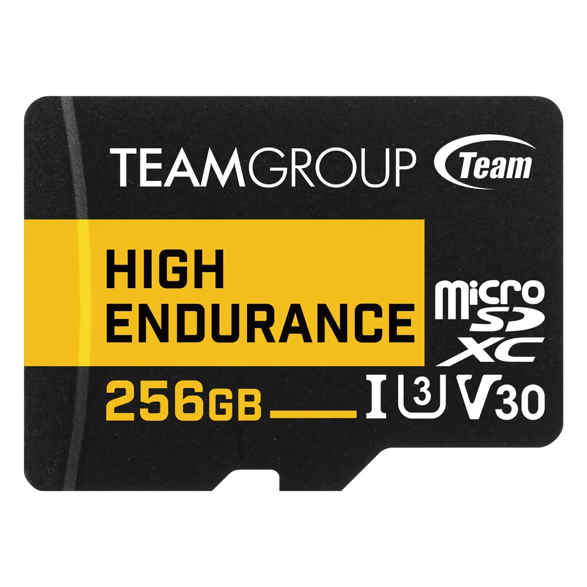 TEAMGROUP High Endurance 256GB Micro SDXC UHS-I U3 V30 4K 100MB/s Flash Memory Card | Designed for Monitoring & Consistent Recording - main product image