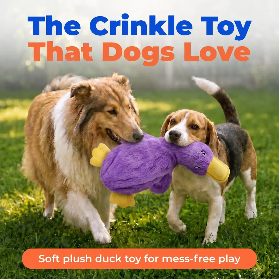 Best Pet Supplies Interactive Squeaky Dog Toy - Crinkle Duck, Purple | No Stuffing, Crinkle Paper, 15" - view 2
