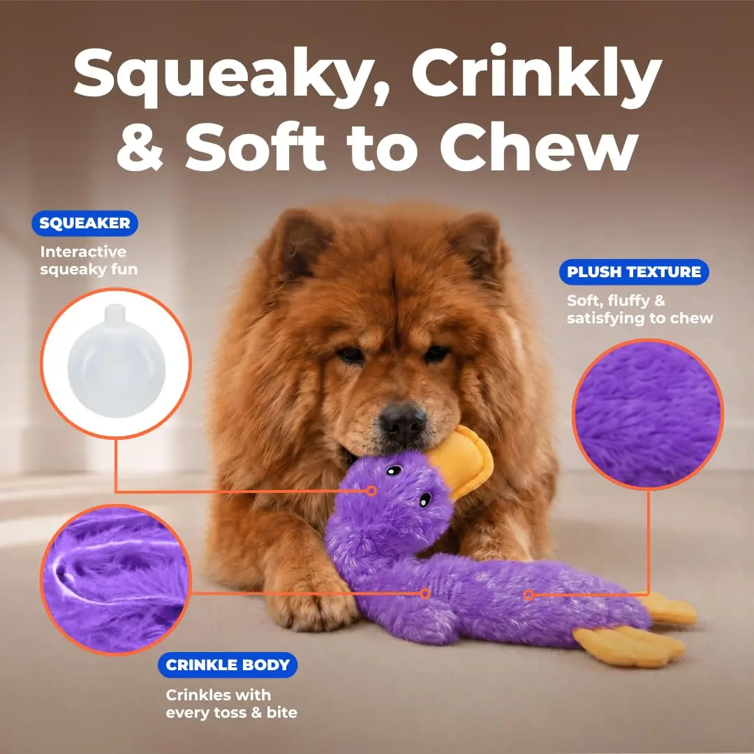Best Pet Supplies Interactive Squeaky Dog Toy - Crinkle Duck, Purple | No Stuffing, Crinkle Paper, 15" - view 3