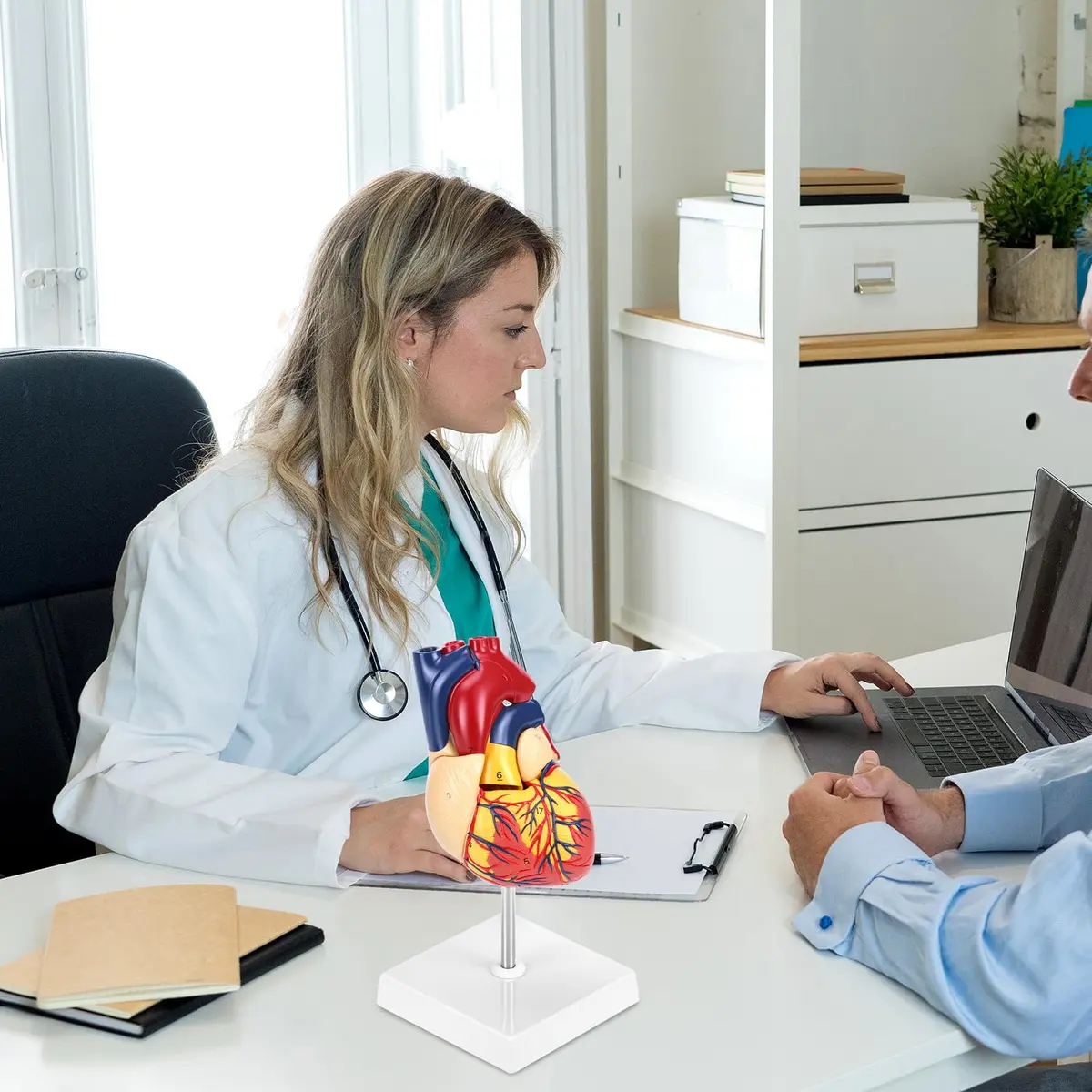 QWORK Life Size Human Heart Model, Anatomically Accurate 2-Part Model with Detachable Wall - view 7