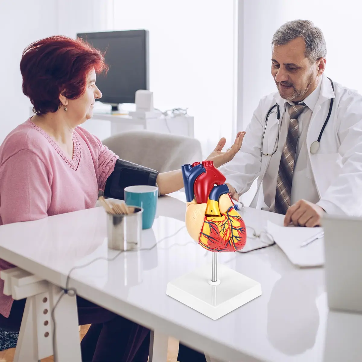 QWORK Life Size Human Heart Model, Anatomically Accurate 2-Part Model with Detachable Wall - view 8