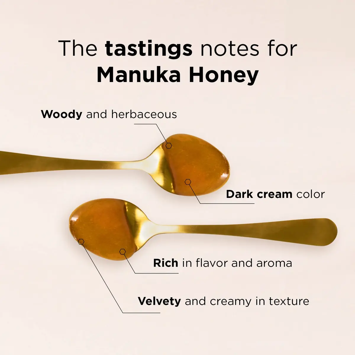 Manuka Doctor MGO 725+ Manuka Honey 8.75 oz | Pure New Zealand Honey, Raw & Non-GMO - view 4