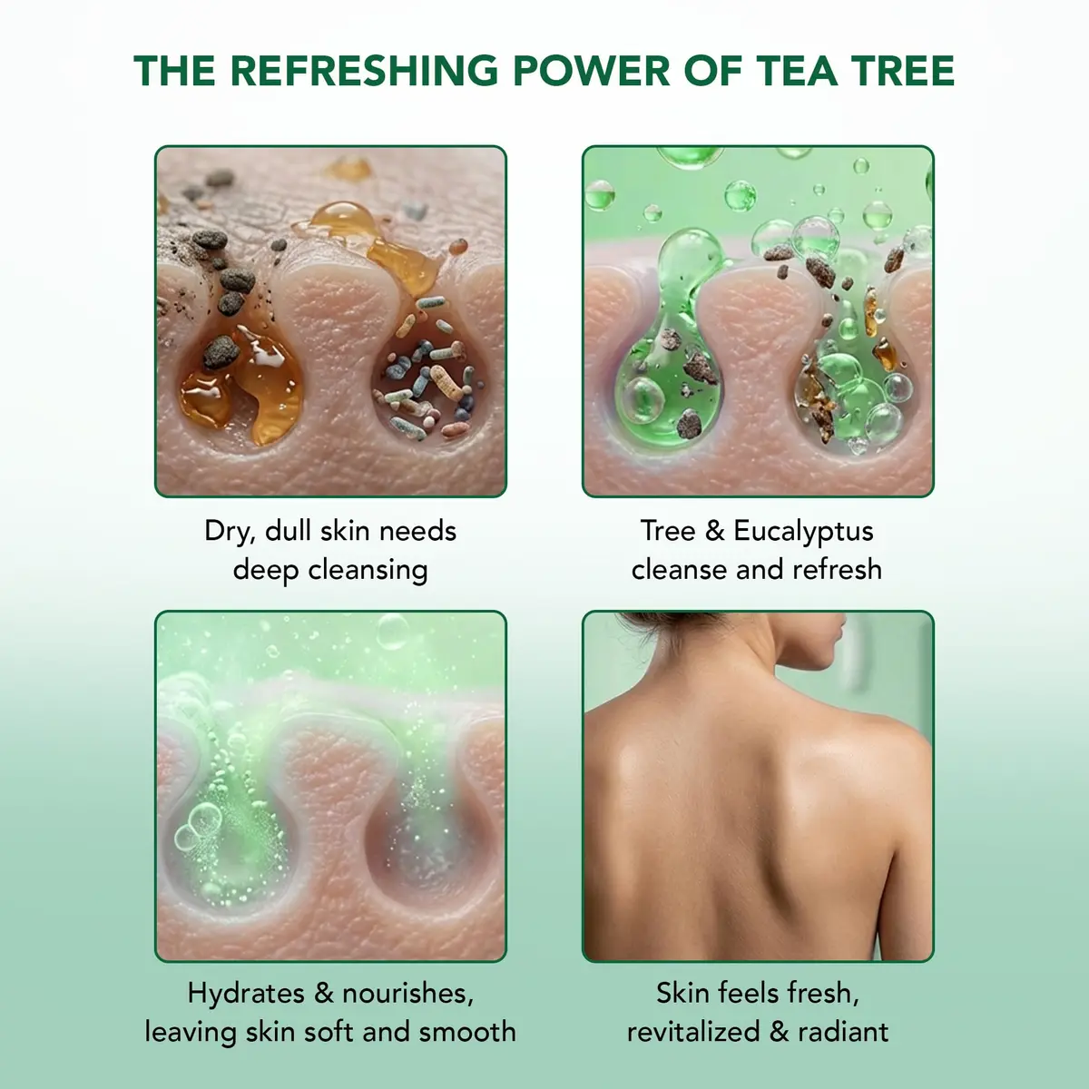 Botanic Hearth Eucalyptus & Tea Tree Body Wash – 16 fl oz | Refreshing, Hydrating & Sulfate-Free - view 4