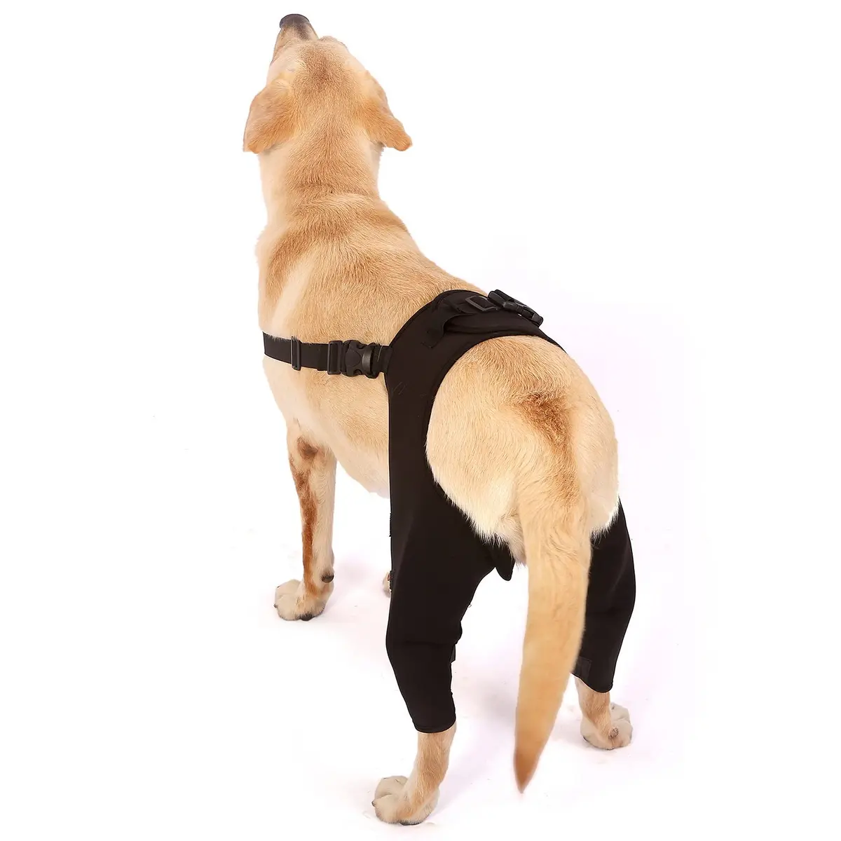 Zunea Dog Leg Brace for Hind Leg ACL CCL Tear Support M - Black | Compression Wrap for Arthritis & Injury Recovery - view 2