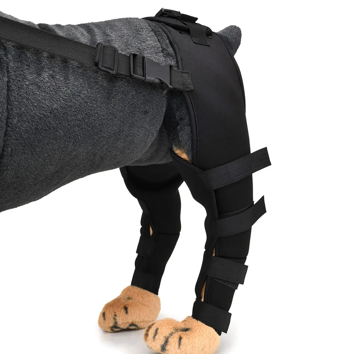 Zunea Dog Leg Brace for Hind Leg ACL CCL Tear Support | Adjustable, Durable, Fits Small to Large Dogs - view 7