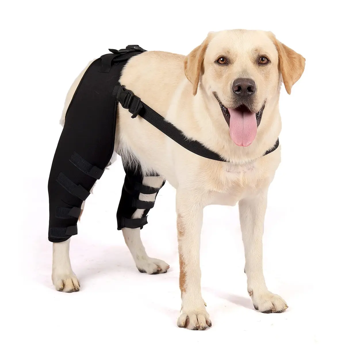 Zunea Dog Leg Brace for Hind Leg ACL CCL Tear Support L | Neoprene Compression Sleeve for Arthritis & Injury Recovery - main product image