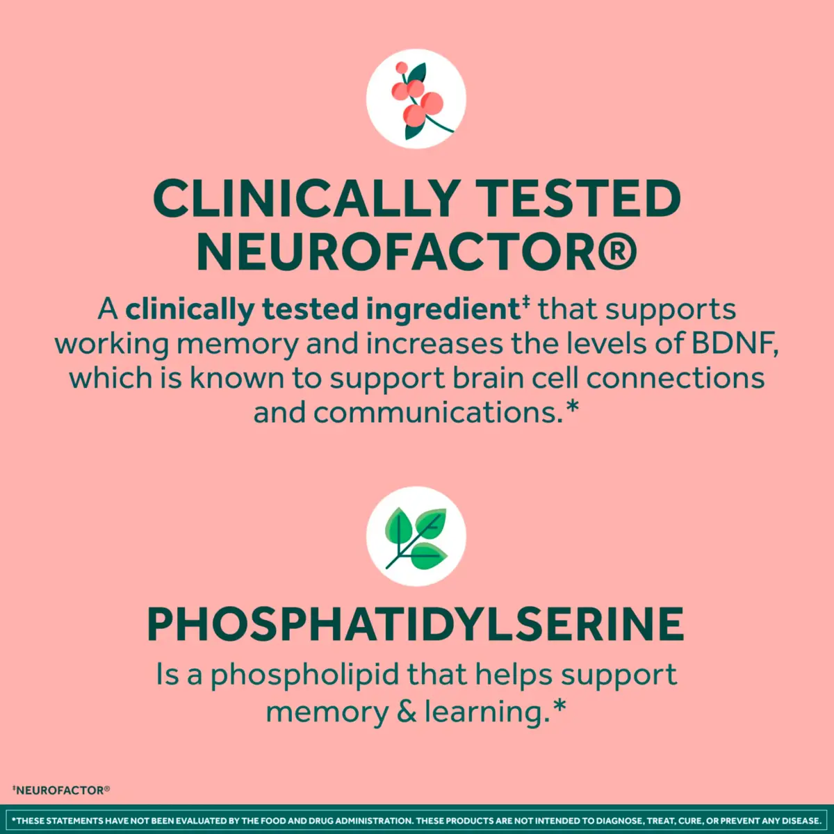 NEURIVA Original Brain Supplements for Memory and Focus 28 Count Capsules | Clinically Tested Nootropics Phosphatidylserine and Neurofactor - view 4