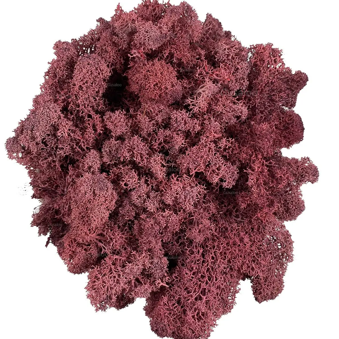 Gusaloo Artificial Moss Preserved 3.5oz | Long-Lasting Indoor Decor with Natural Green & Pink - main product image
