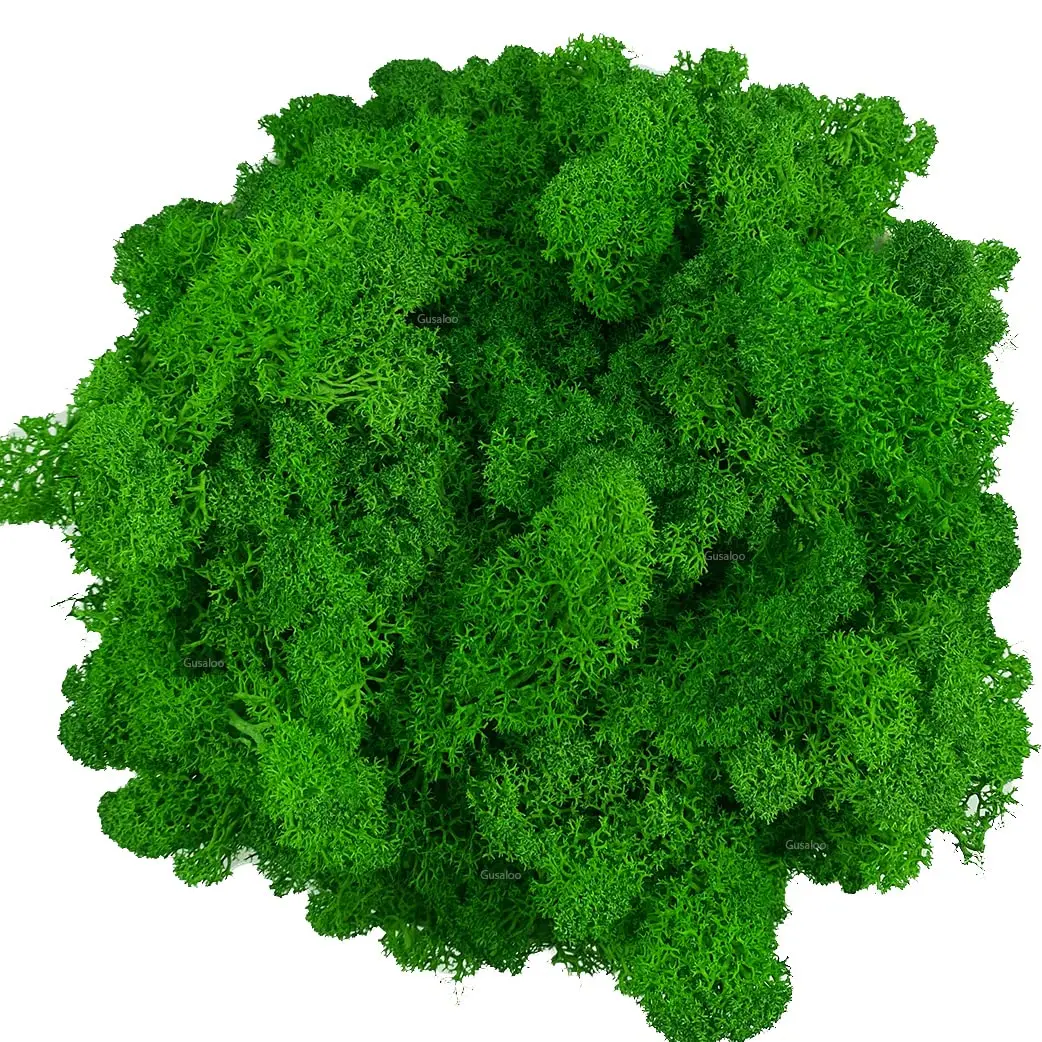 Gusaloo Artificial Moss Preserved Green Moss 3.5oz | Long-Lasting Indoor Decor - main product image