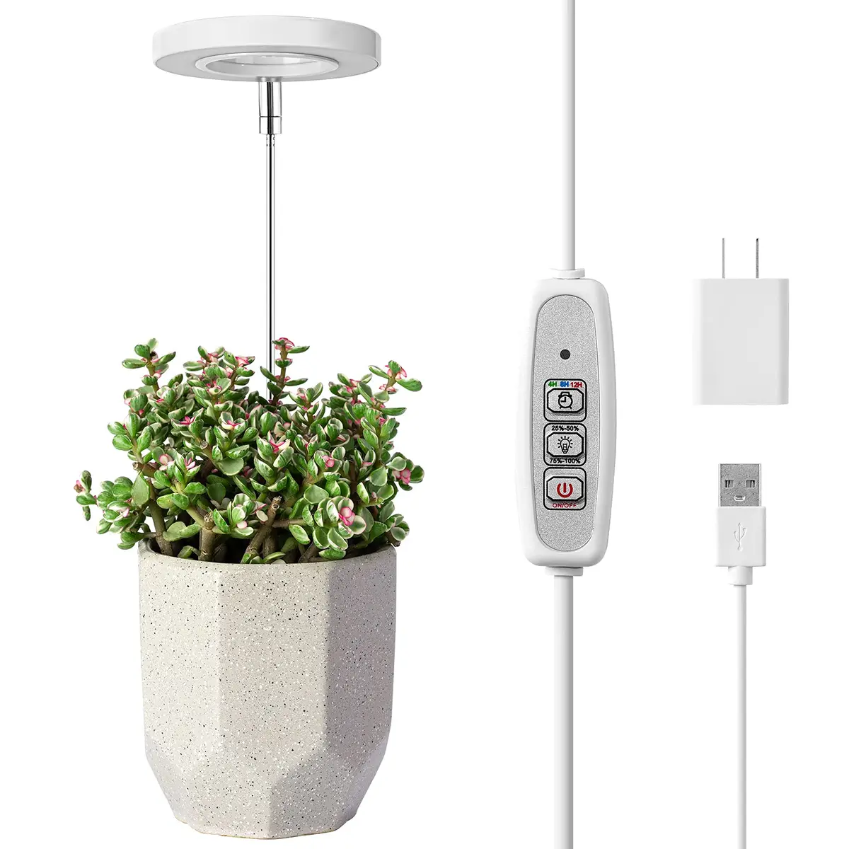 LORDEM Full Spectrum LED Grow Light for Indoor Plants | Auto Timer & Dimmable Brightness (70-120 chars) - main product image