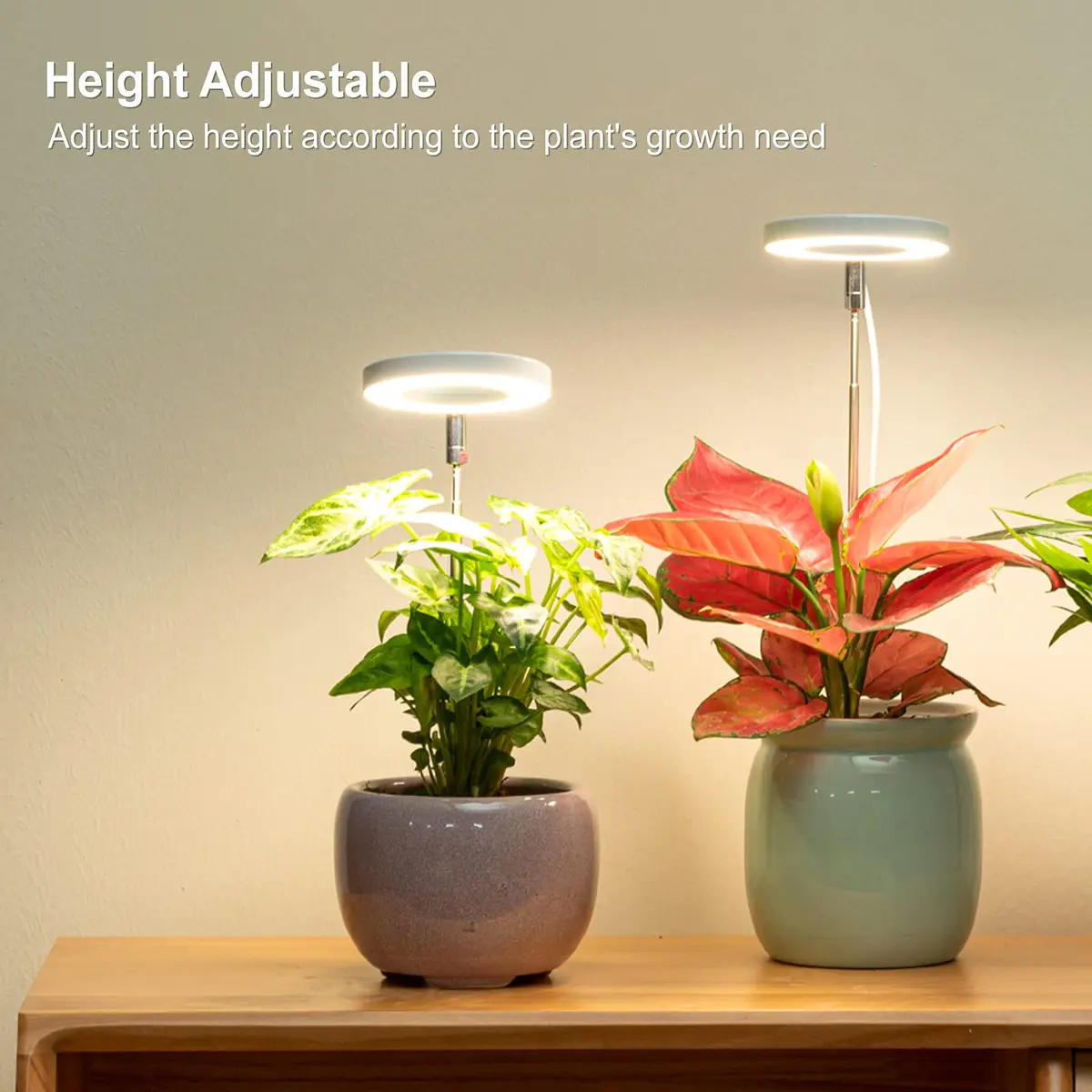 LORDEM Full Spectrum LED Grow Light for Indoor Plants | Auto Timer & Dimmable Brightness (70-120 chars) - view 2