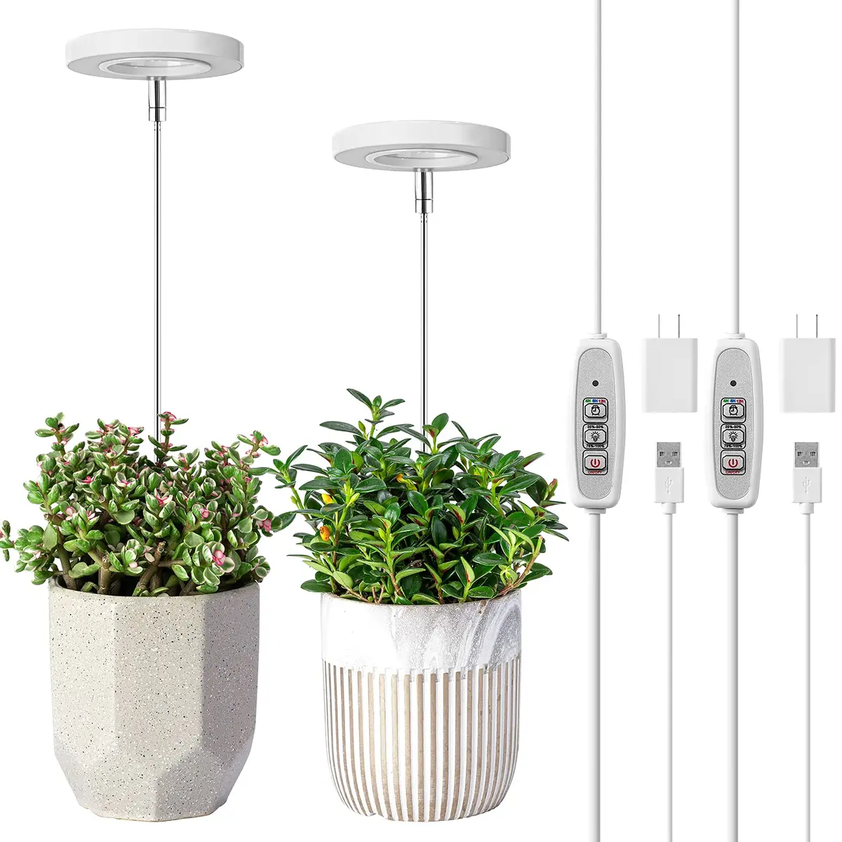 LORDEM Grow Light for Indoor Plants, Full Spectrum LED 2 Packs | Auto Timer & Dimmable Brightness (70-120 chars) - main product image