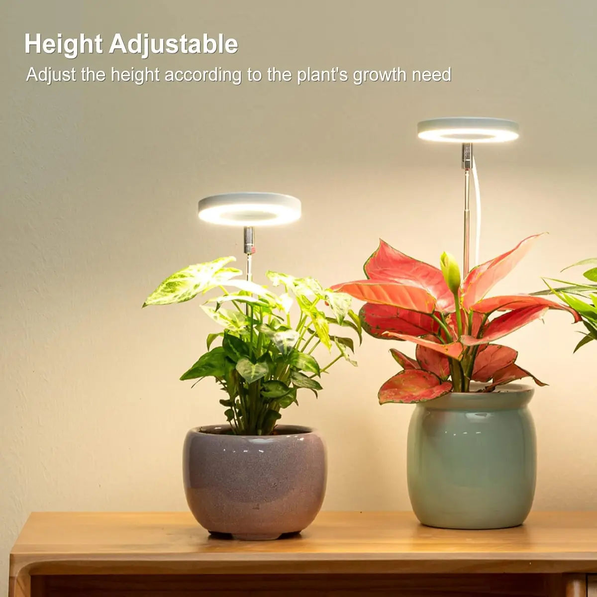 LORDEM Grow Light for Indoor Plants, Full Spectrum LED 2 Packs | Auto Timer & Dimmable Brightness (70-120 chars) - view 5